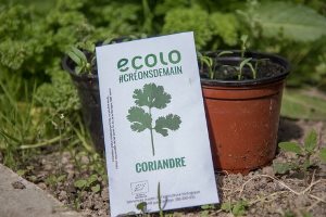 Qu’est-ce qu’on sème ?