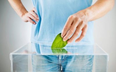 Politique climatique et consultation communale