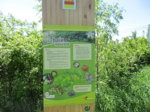 Ensemble, plantons 4000 Km de haies et un million d’arbres !